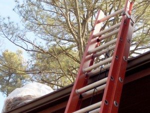 Gutter Cleaning Services | Champaign | Urbana IL